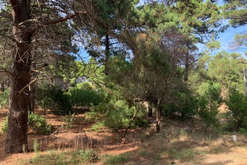 Terreno en Pinar del Golf, Monte Hermoso