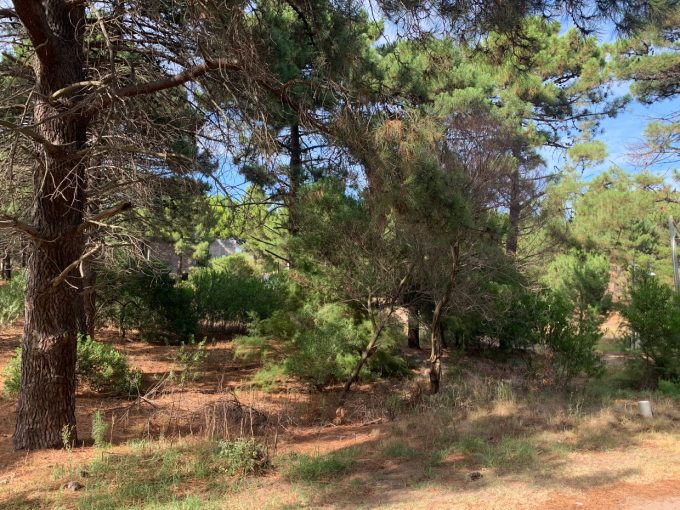 Terreno en Pinar del Golf, Monte Hermoso